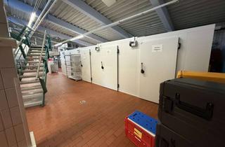 Büro zu mieten in 68259 Feudenheim, Büro und Produktion für alle Gewerbe