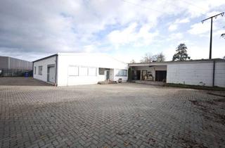 Büro zu mieten in 67435 Lachen-Speyerdorf, Gewerbeeinheit zur vielseitigen Nutzung ca 1.000m² | Handwerk | Autohandel | Büros | Lager uvm.