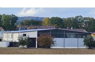 Anlageobjekt in 89129 Langenau, Vielseitig nutzbares Anwesen, vereint Gewerbe und Freizeit in einer attraktiven Lage (Kopie)