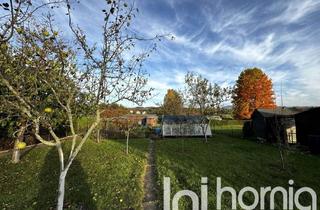 Grundstück zu kaufen in 01877 Bischofswerda, Großes Freizeitgrundstück mit tollem Gartenhäuschen