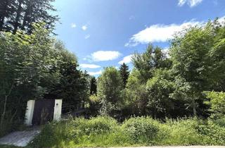 Grundstück zu kaufen in 85221 Dachau, Ruhiges Naturidyll in Dachau-Süd: 2.376 m² Gartenland mit Zugang über eigene Fußgängerbrücke