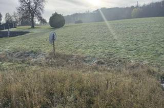 Grundstück zu kaufen in 53577 Neustadt, Großzügiges Grundstück in Neustadt-Eilenberg