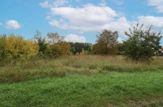 Grundstück zu kaufen in 91301 Forchheim, Baugrundstück in ruhiger Lage von Reuth (Forchheim) – 506 m², ohne Bauzwang