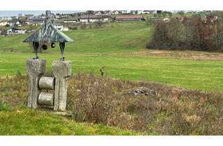 Grundstück zu kaufen in 94036 Heining, Projektentwickler gesucht: Großzügiges Baugrundstück in Passau