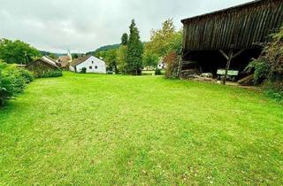 Grundstück zu kaufen in Dürnberger Straße 12, 93192 Wald, Großzügiges Traumgrundstück in idyllischer Alleinlage – perfekt für Neubau oder Projektentwicklung