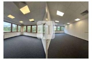 Büro zu mieten in 24782 Büdelsdorf, - provisionsfrei - ca. 580 m² gepflegte Büroflächen auf einem bekannten Gewerbehof