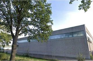 Büro zu mieten in 24576 Weddelbrook, *Moderne Büroflächen auf 440 qm in Weddelbrook zu vermieten, mit Option auf zusätzlich ca. 800 qm La