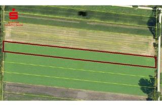 Immobilie kaufen in 85737 Ismaning, Landwirtschaftliches Grundstück in Ismaning