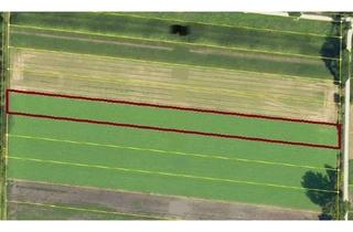 Immobilie kaufen in 85737 Ismaning, Landwirtschaftliches Grundstück in Ismaning