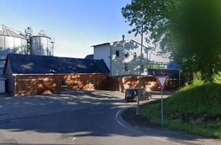 Gewerbeimmobilie kaufen in Niederzwönitzer Straße 91, 08297 Zwönitz, Ehemalige Gerlach Mühle - Entwicklungsobjekt z.B. Wohnstandort