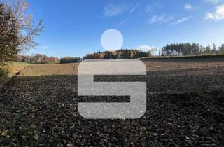 Gewerbeimmobilie kaufen in 84329 Wurmannsquick, Ackerfläche - für Kapitalanleger & Eigennutzer