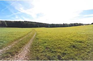 Gewerbeimmobilie kaufen in Rotmoos, 87733 Markt Rettenbach, Großzügige Landwirtschaftsfläche – ideal für Investoren & Landwirte