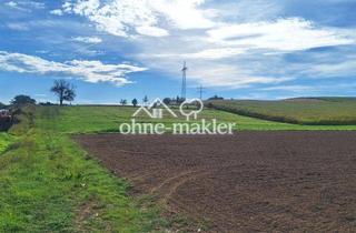 Grundstück zu kaufen in Im Bölich 5, 74937 Spechbach, Baugrundstück in ruhiger Lage und sehr nahe den Feldern