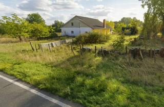 Grundstück zu kaufen in 27249 Maasen, Großes, voll erschlossenes Grundstück mit Altbestand in ruhiger Lage von Maasen