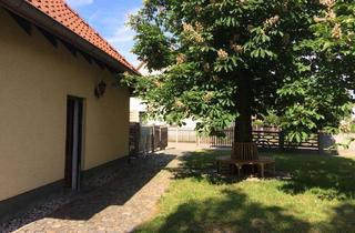 Wohnung mieten in Gartenweg 1a, 04683 Belgershain, Gepflegte 3-Zimmer Dachgeschosswohnung in Belgershain