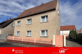 Haus kaufen in 04928 Plessa, Einziehen und Heimwerken