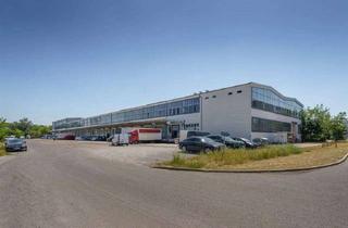 Gewerbeimmobilie mieten in Ernst-Augustin-Straße 1a, 12489 Adlershof, +++ Studio, Lager, Kreativfläche – Ihre Medienhalle in Adlershof +++