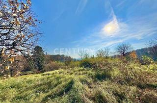 Grundstück zu kaufen in 01445 Radebeul, Blick zum Wasserturm & ins Elbtal