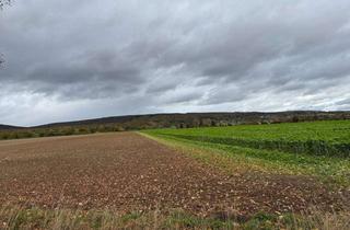 Grundstück zu kaufen in 31832 Springe, Großes Baugrundstück in Springe-Alvesrode!