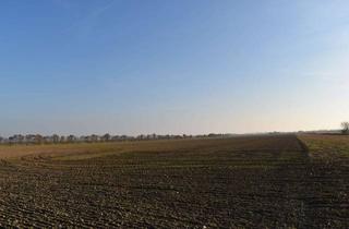 Grundstück zu kaufen in Zwochauer Weg, 04509 Wiedemar, Idyllisch gelegenes, großes Baugrundstück mit Feldrandlage bei Leipzig