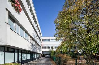 Gewerbeimmobilie mieten in Burgemeisterstraße 34, 12103 Tempelhof, Gut geschnittene Gewerbefläche in der Nähe vom Alboin Park - Provisionsfrei !