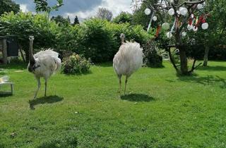 Haus kaufen in 02957 Krauschwitz, Krauschwitz i. d. O.L. - Drachenhof Sagar - 8.600 m² Natur, Bauland, Wohnhaus + 200 Jahre