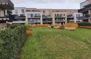 Wohnung mieten in Steinstraße 71, 21502 Geesthacht, Neubauwohnung mit Terrasse zur Miete in Geesthacht- Wentzel Dr.