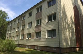 Wohnung mieten in Am Wald, 19372 Ziegendorf, Kleiner Preis! Große Wohnung mit Gäste Bad!