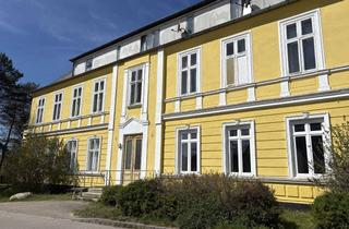 Wohnung mieten in Plüggentiner Str. 19-25, 18573 Samtens, 2,5 Zi, süße Dachgeschosswohnung, WC und Bad separat, neue EBK