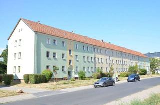 Wohnung mieten in Karl-Liebknecht-Str. 30, 06526 Sangerhausen, Große 2-Raumwohnung sucht Nachmieter