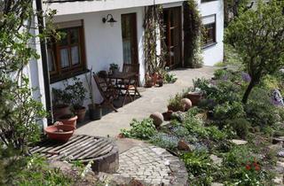 Wohnung mieten in Bergwaldstraße 1/1, 72202 Nagold, Gemütliche Wohnung mit zwei Zimmern in Nagold Teilort