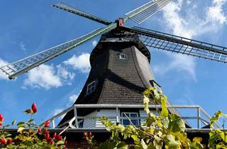Haus kaufen in 25704 Meldorf, Einzigartige Mühle | Vielfältige Möglichkeiten