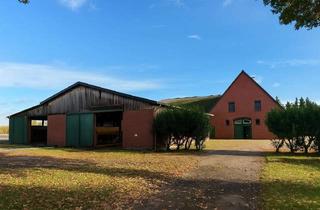 Haus kaufen in 27624 Lintig, Vielseitiger Resthof mit großem Potenzial –ideal für Pferdeliebhaber, Familien & Selbstverwirklicher