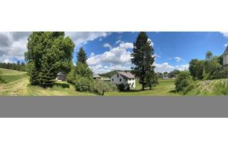Bauernhaus kaufen in 95186 Höchstädt, Bauernhaus mit kleinem Wald, mit Stall, mit Land..