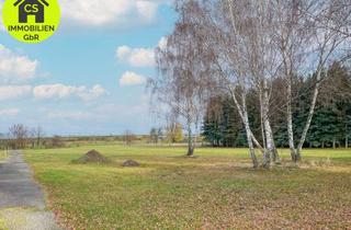 Bauernhaus kaufen in 01558 Großenhain, Ideal für Tierhaltung! Bauernhof für 1 o. 2 Familien mit 6500qm Weideland