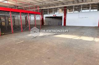 Gewerbeimmobilie mieten in 72406 Bisingen, Provisionsfrei mieten: Effiziente Logistikimmobilie mit Verladerampen und Hochregallager