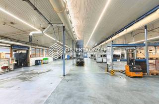 Gewerbeimmobilie mieten in 78564 Wehingen, Industriegebäude mit 3.116 m² Produktionsfläche & 1.000 Palettenstellplätzen - provisionsfrei!