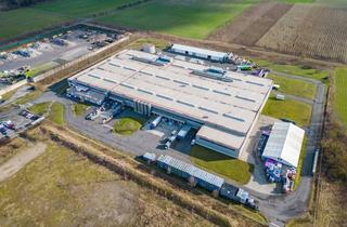 Gewerbeimmobilie kaufen in 03238 Massen, Hochwertige Produktionsimmobilie zum Verkauf