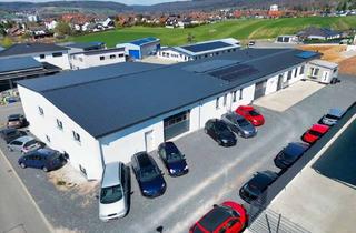 Gewerbeimmobilie kaufen in 64711 Erbach, Großzügige Doppel-Industriehallen - perfekte Fläche für Produktions- oder Lagerbedarf, Logistik!