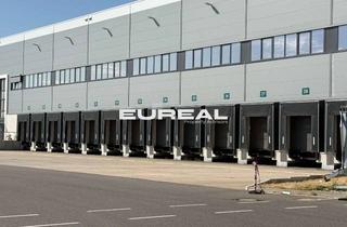 Gewerbeimmobilie mieten in 53332 Bornheim, Logistikfläche teilbar ab 5.000m² | Rampen | ebenerdige Andienung