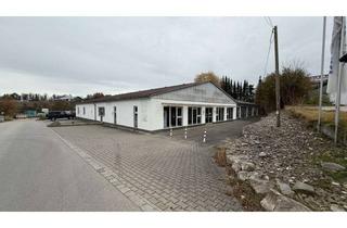 Gewerbeimmobilie mieten in Rudolf-Diesel-Straße, 86453 Dasing, Gewerbehalle in Dasing - Perfekt für Handel, Werkstatt oder Lager!