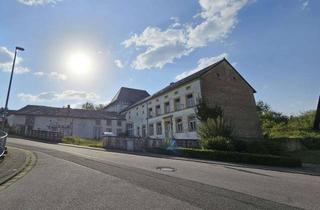 Grundstück zu kaufen in 66693 Mettlach, 66693 Mettlach-Tünsdorf - 7.900 m² attraktives Baugrundstück mit Altbestand