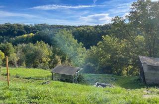Grundstück zu kaufen in Stuifenweg 19, 71101 Schönaich, Bauplatz für 2 Doppelhaushälften - Beste Südrandlage Schönaich