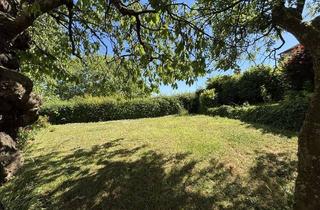 Grundstück zu kaufen in 71563 Affalterbach, Schönes Baugrundstück in Affalterbach-Birkhau