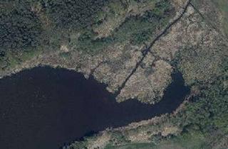 Grundstück zu kaufen in 15848 Friedland, IMMOBERLIN.DE - Großes Grundstück mit 60 Meter Uferlinie für forstwirtschaftliche Zwecke am Schwielo