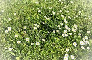 Grundstück zu kaufen in Purchhauserstraße, 85101 Lenting, Traumhaftes Baugrundstück mit Altbestand in Lenting