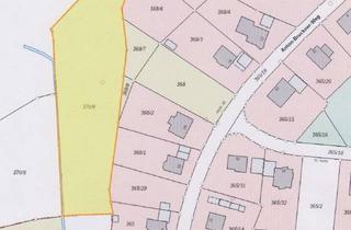 Gewerbeimmobilie kaufen in 95100 Selb, Wiesengrundstück bei Vielitz