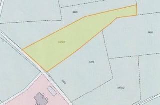 Gewerbeimmobilie kaufen in 95111 Rehau, Waldstück mit guter Anbindung