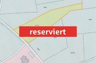 Gewerbeimmobilie kaufen in 95111 Rehau, Waldstück mit guter Anbindung