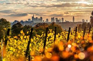 Gewerbeimmobilie kaufen in Lohrberg, Seckbach, 60389 Seckbach, Traumgarten auf dem Frankfurter Lohrberg